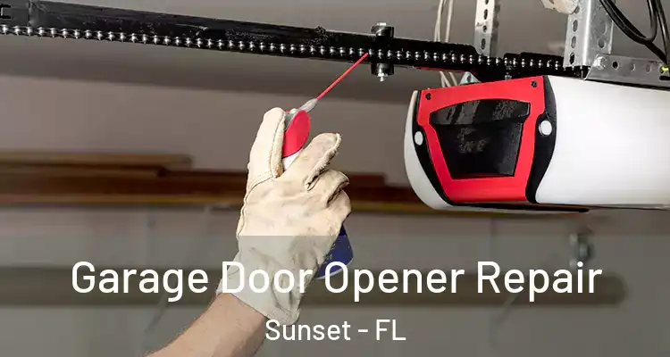  Garage Door Opener Repair Sunset - FL