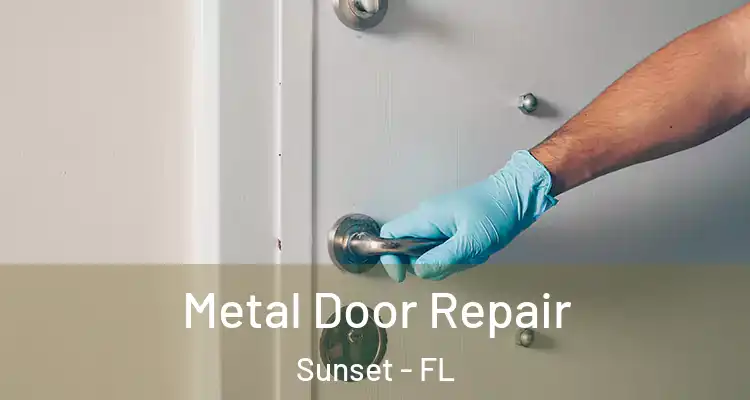  Metal Door Repair Sunset - FL