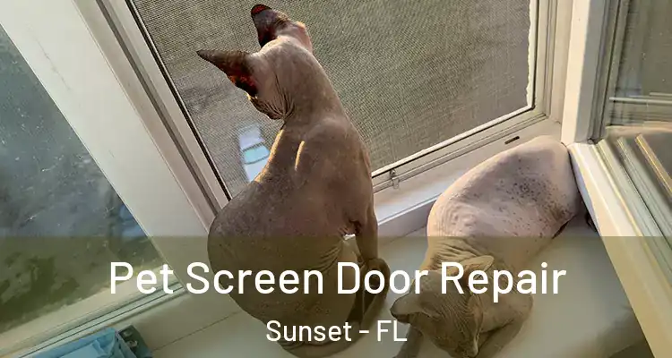  Pet Screen Door Repair Sunset - FL